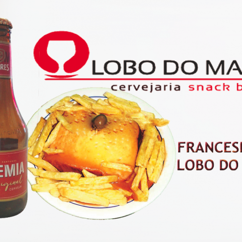 lobo do mar logo